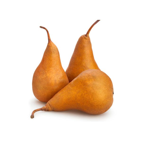 Bosc Pear