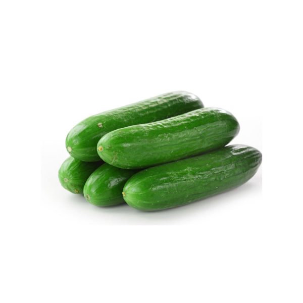 Cucumber