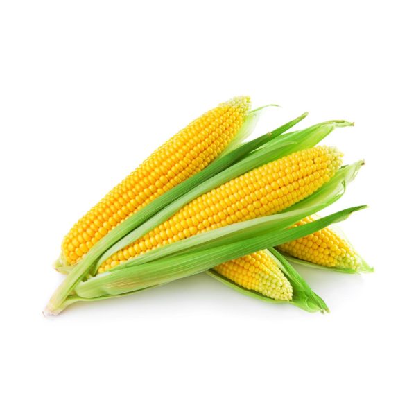 Corn