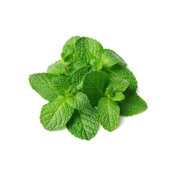 Mint Leaves