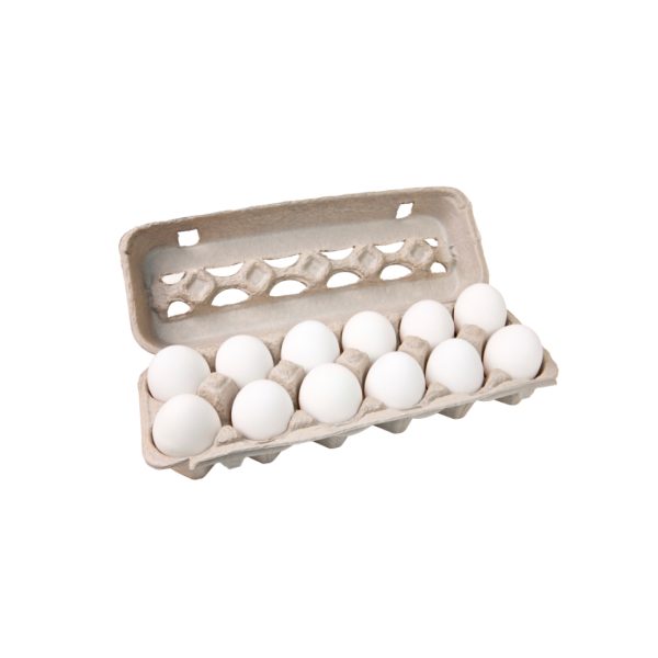 Eggs- 1 Carton